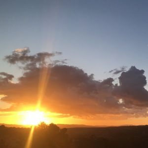 Meet your Posher, Zola